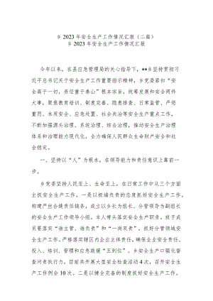 乡2023年安全生产工作情况汇报(二篇).docx