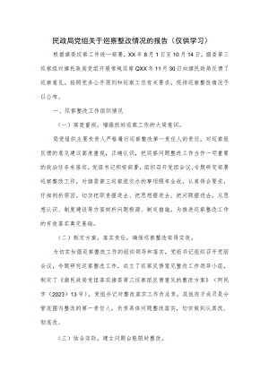 民政局党组关于巡察整改情况的报告.docx