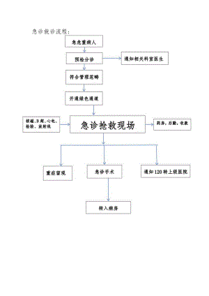 中医医院急诊就诊制度.docx