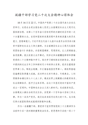 援疆干部学习党二十次大会精神心得体会范文.docx