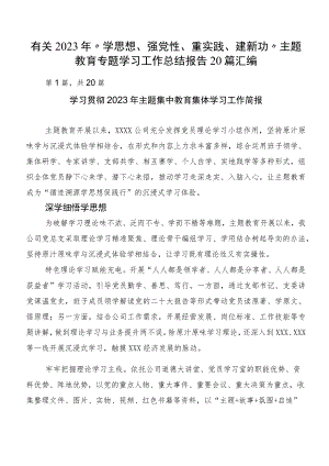 有关2023年“学思想、强党性、重实践、建新功”主题教育专题学习工作总结报告20篇汇编.docx