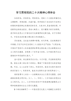 学习贯彻党的二十大精神心得体会(4).docx