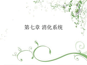 第7章消化系统.ppt