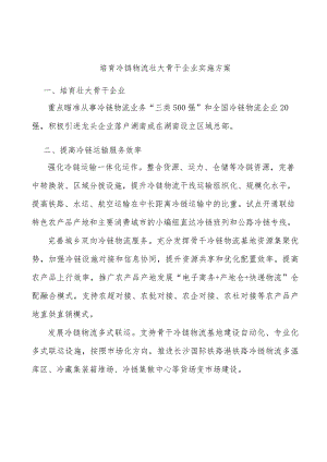 培育冷链物流壮大骨干企业实施方案.docx