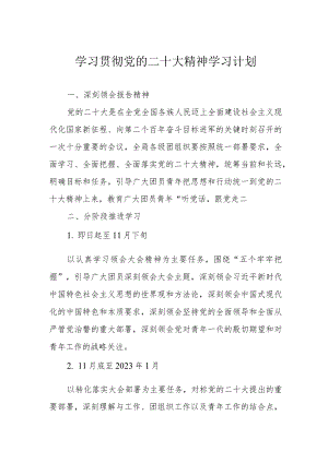 学习贯彻党的二十大精神学习计划.docx
