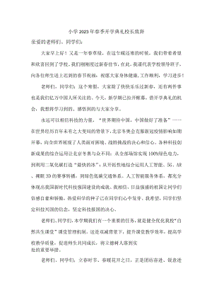 小学2023年春季开学典礼校长致辞 精编3份.docx