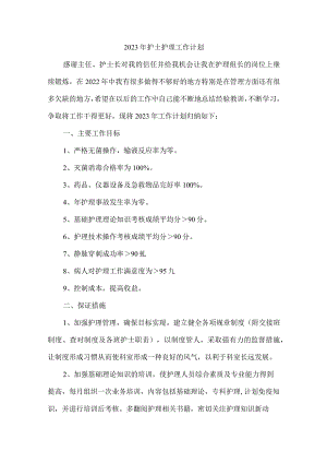 2023年民营医院护士个人护理工作计划.docx