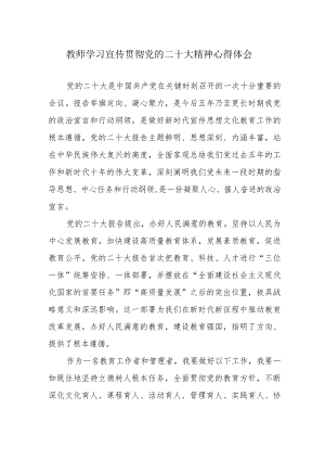 教师学习宣传贯彻党的二十大精神心得体会.docx