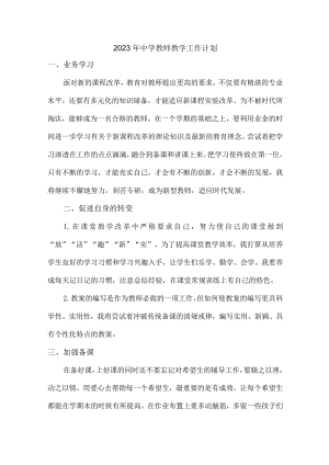 市区中学2023年教师教学工作计划.docx