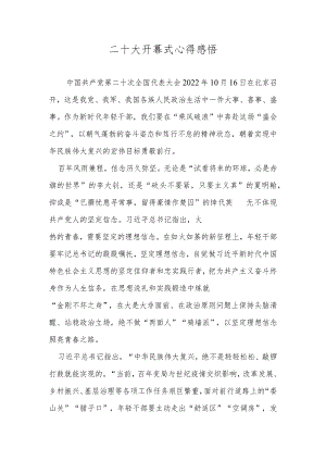 二十大开幕式心得感悟.docx