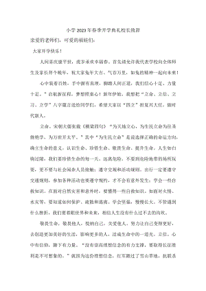 小学2023年春季开学典礼校长致辞 汇编4份.docx