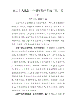 二十大学习心得：在二十大报告中体悟年轻干部的“五个明白”.docx
