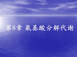 第8章氨基酸代谢.ppt