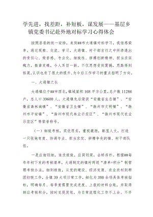 学先进找差距补短板谋发展——基层乡镇党委书记赴外地对标学习心得体会.docx
