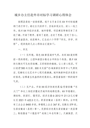城乡办主任赴外市对标学习调研心得体会.docx