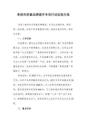 孝感市质量品牌提升专项行动实施方案.docx
