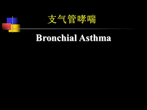 支气管哮喘指南（精品） .ppt