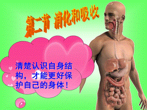 消化和吸收ppt人教版.ppt