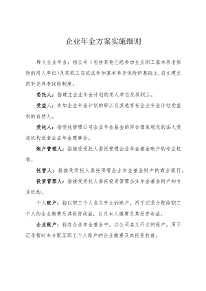 企业年金方案实施细则-通用制度模板、范文.docx
