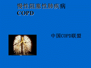 慢性阻塞性肺疾病诊治指南.ppt