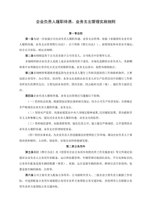 企业负责人履职待遇、业务支出管理实施细则.docx