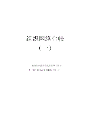 安全管理组织网络台帐.docx
