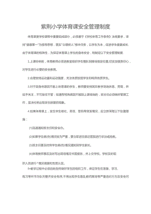 紫荆小学体育课安全管理制度.docx
