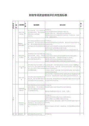 财政专项资金绩效评价共性指标表.docx