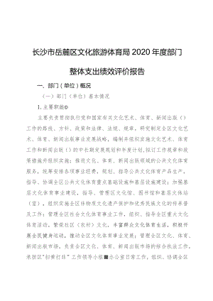 长沙市岳麓区文化旅游体育局2020年度部门整体支出绩效评价报告.docx