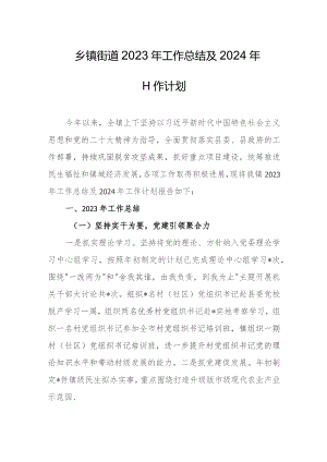 乡镇街道2023年工作总结及2024年工作计划.docx