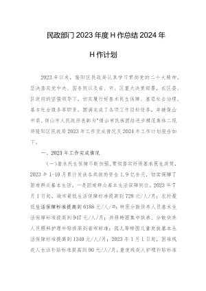 民政部门2023年度工作总结2024年工作计划.docx