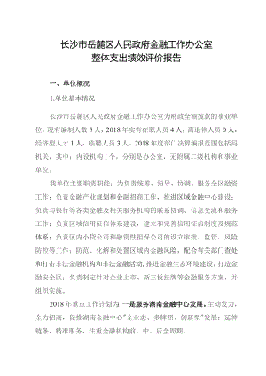 长沙市岳麓区人民政府金融工作办公室整体支出绩效评价报告.docx