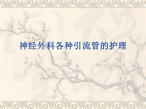 神经外科各种引流管的护理.ppt