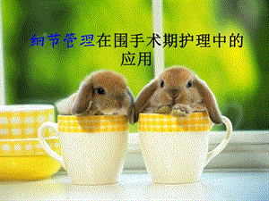 细节管理在神经外科护理中的应用.ppt