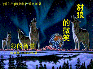 狼的性格.ppt