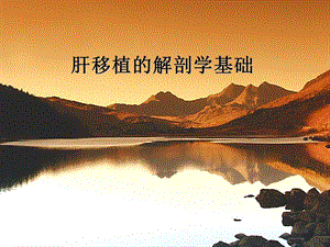 肝移植的解剖学基础.ppt