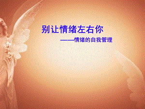 别让情绪左右你情绪的自我管理【ppt】 .ppt