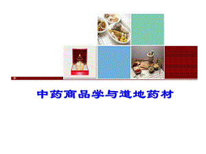 中药商品学与道地药材.ppt