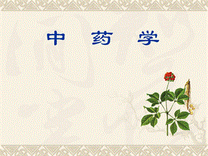 中药学总论.ppt