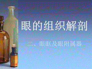 眼眶组织解剖.ppt.ppt
