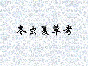 名贵中药材虫草.ppt