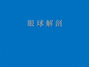 眼球解剖.ppt