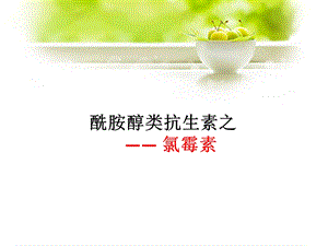 氯霉素的药物分析.ppt