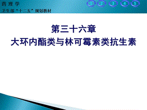 大环内酯类与林可霉素类抗生素.ppt