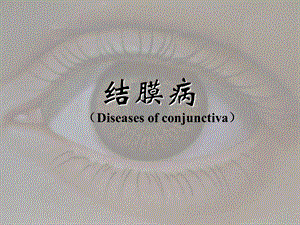 结膜病.ppt.ppt