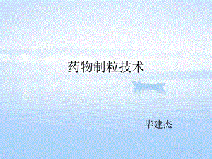 药物制粒技术及流化床制粒影响因素的探讨.ppt