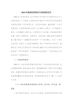 2023年度高校领导班子述职报告范文.docx