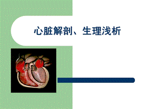 心脏解剖、生理浅析.ppt