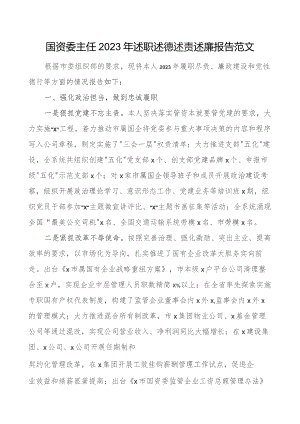 2023年个人述职述德述责述廉报告工作总结汇报.docx