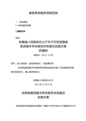 省级养老服务领域范例.docx